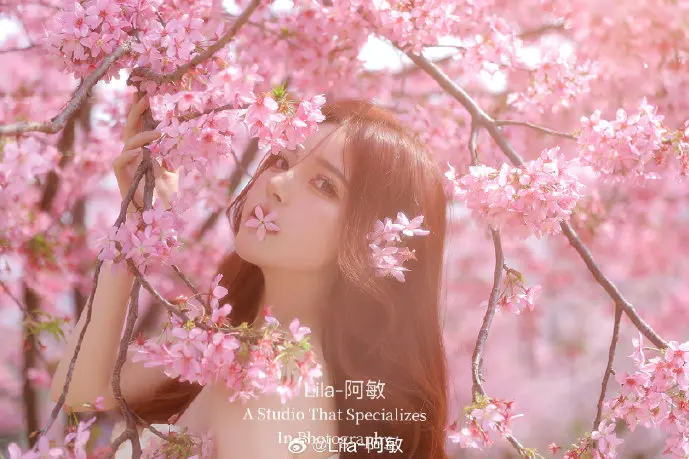 动态壁纸使用场景